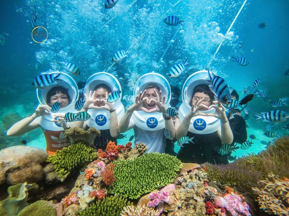 Day Tour | Experience Sea Walking Or Scuba Diving In Phu Quoc