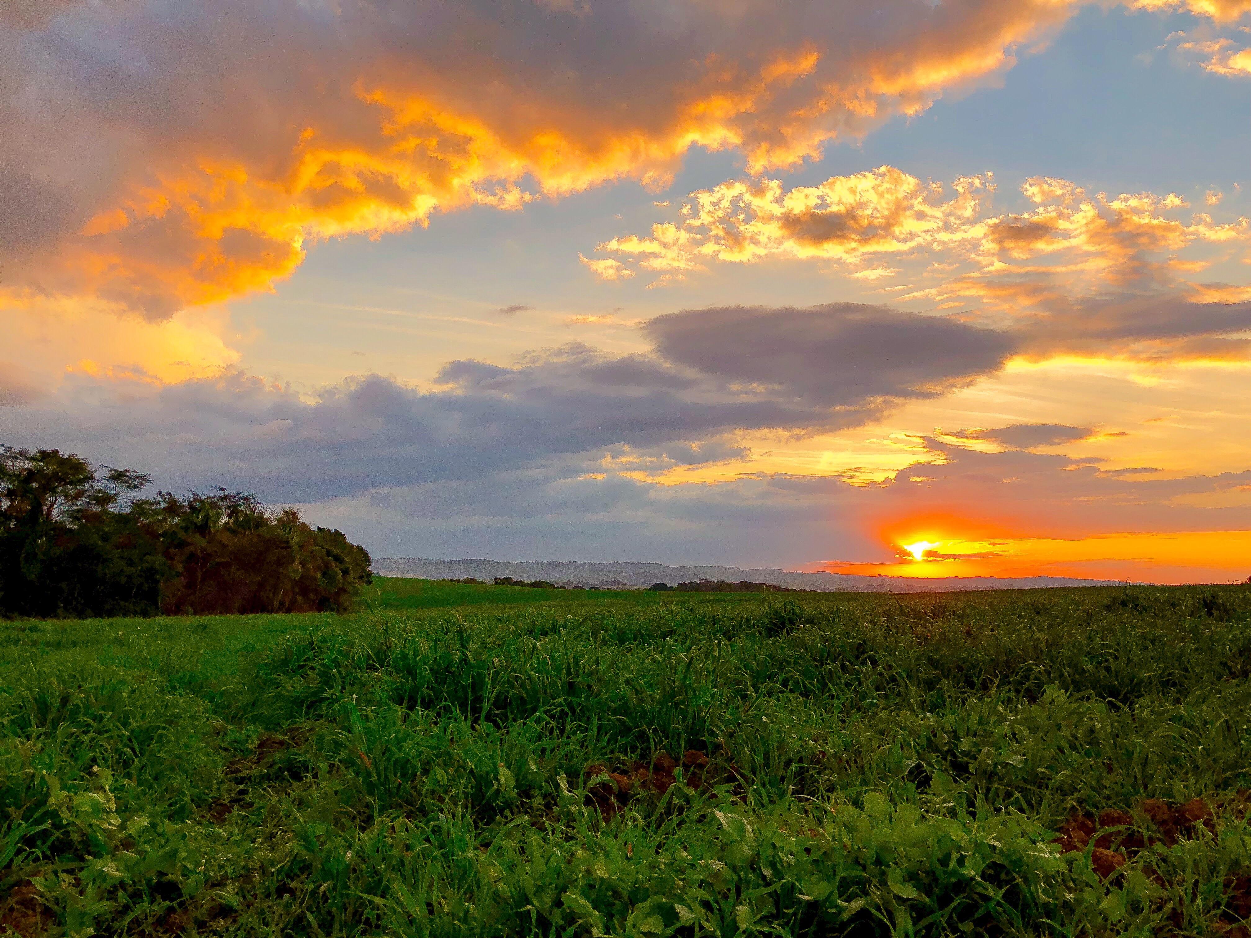 Day Tour | Experience Hoi An Sunset by Jeep