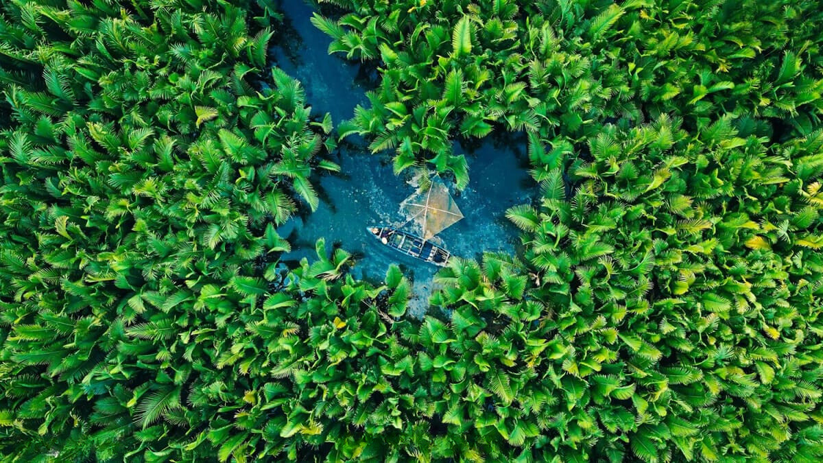 Day Tour | Explore Bay Mau Coconut Forest