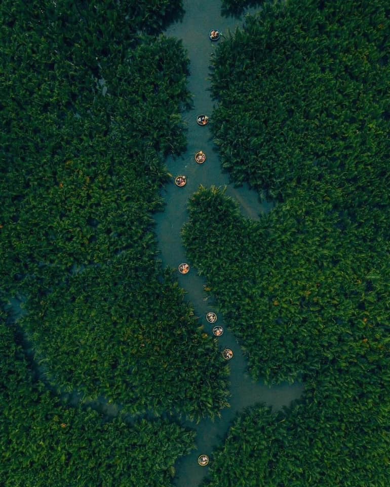 Day Tour | Explore Bay Mau Coconut Forest