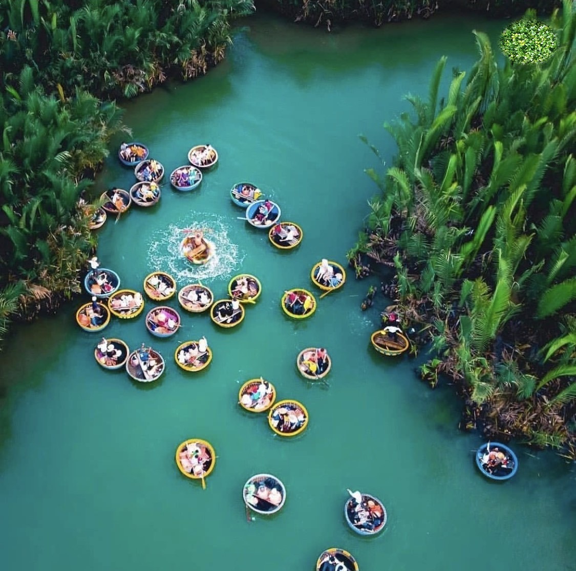 Day Tour | Explore Bay Mau Coconut Forest