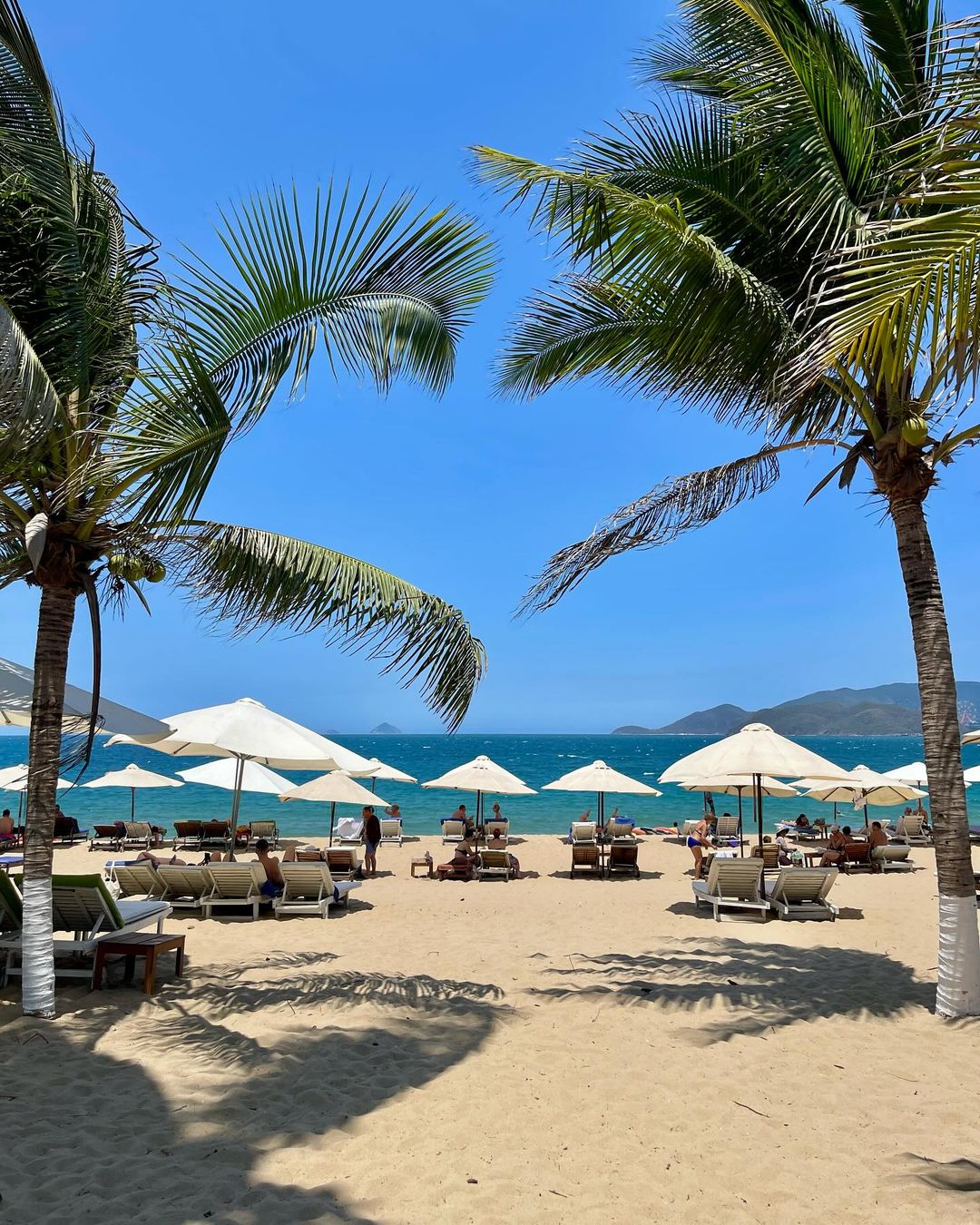 Day Tour I Amazing Snorkeling Tour | Nha Trang