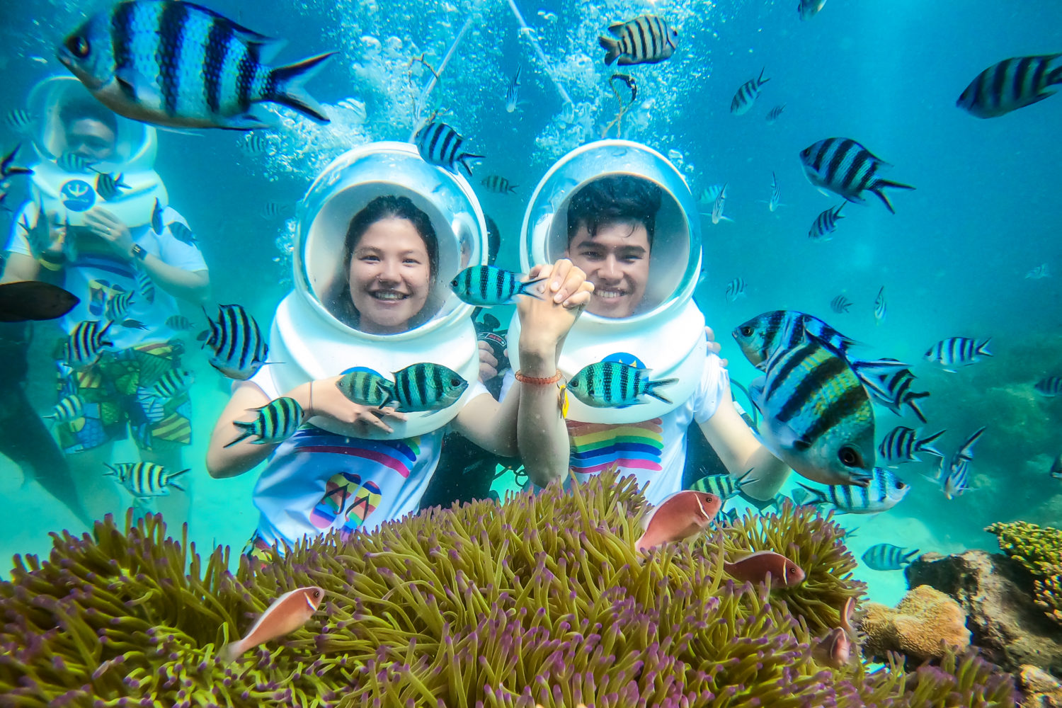 Day Tour | Experience Walking Underwater and Exploring Coral Reefs | Nha Trang