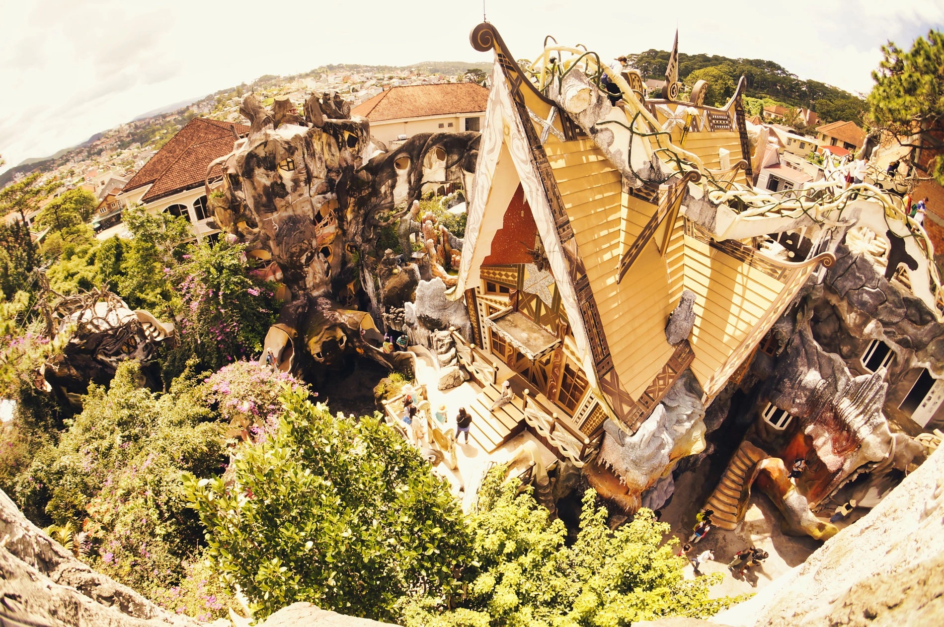 Day Tour | Explore Da Lat City departure from Nha Trang