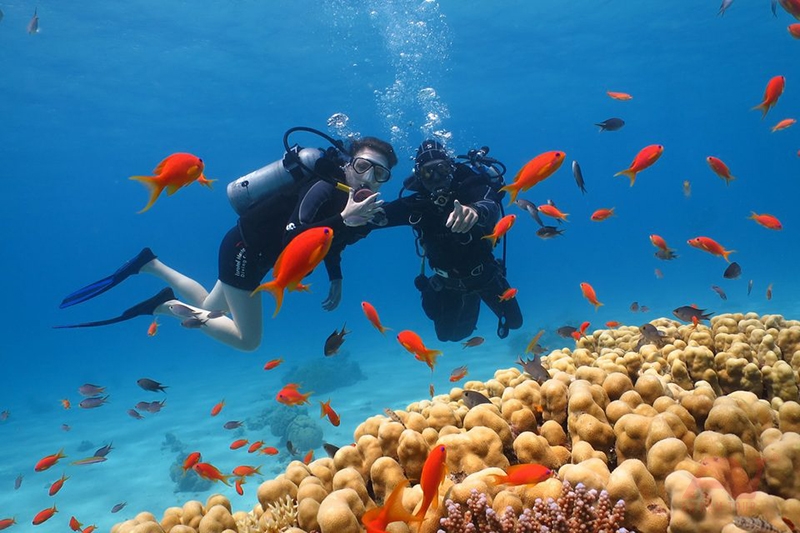 Day tour | Experience Scuba Diving At The Diving Center