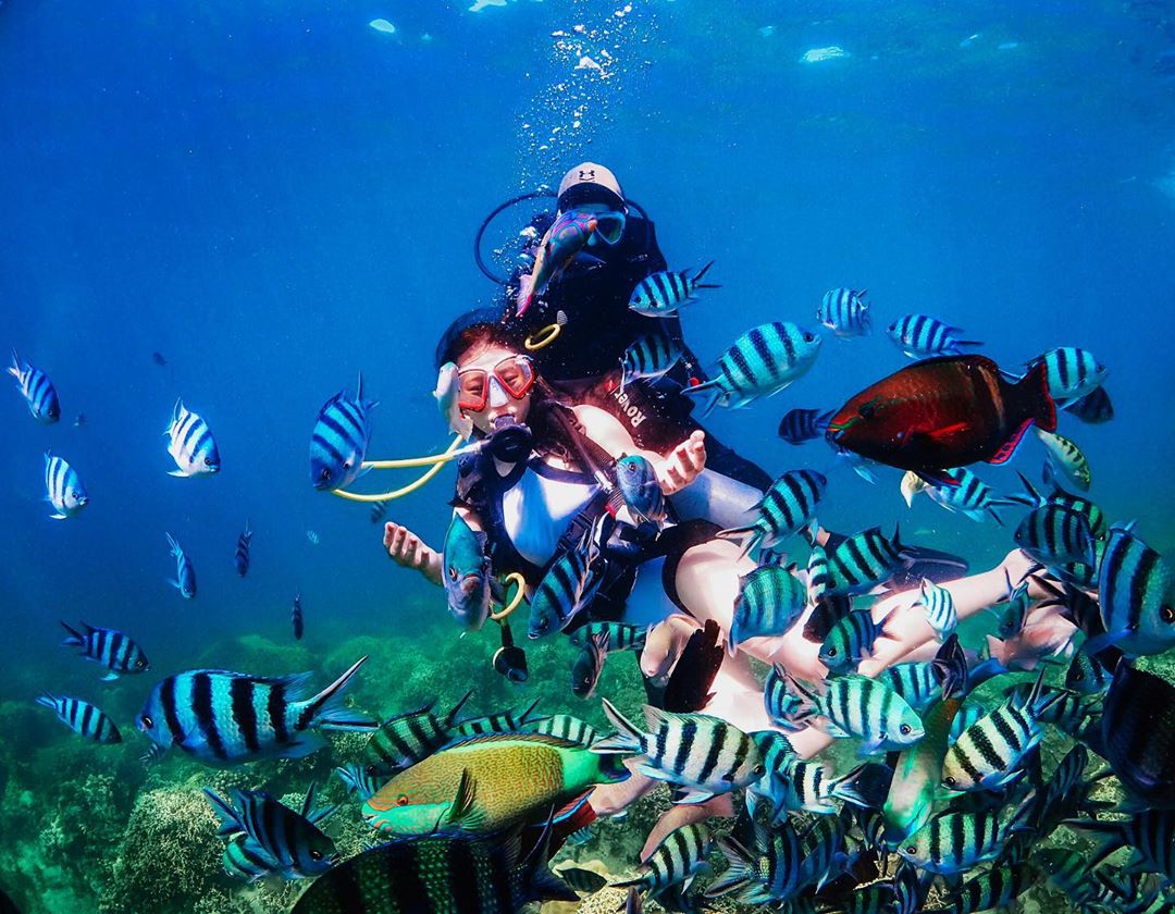 Day tour | Experience Scuba Diving At The Diving Center