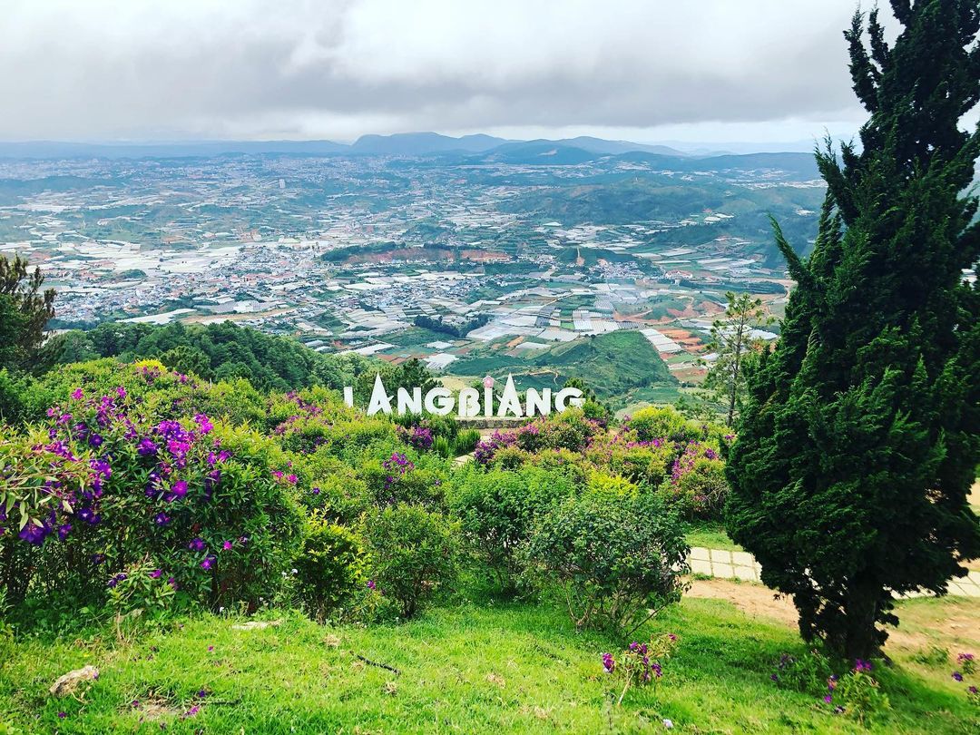 Day Tour | Conquer Langbiang Mountain – Datanla Waterfall – Crazy House Experience