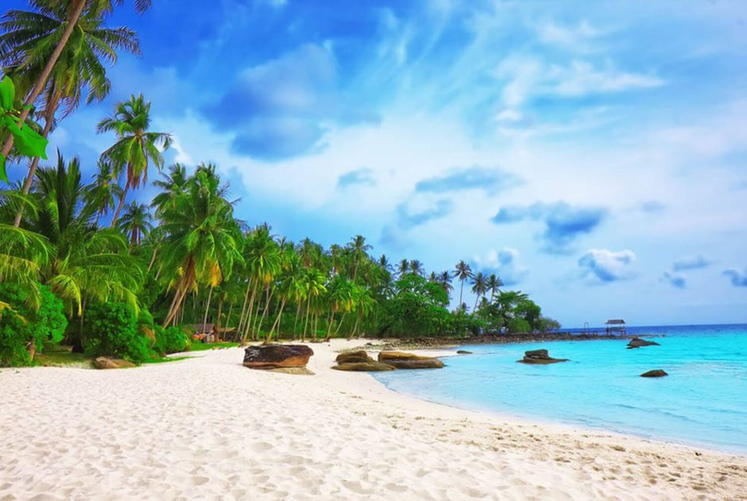 Day Tour | Private Tour to 3 Islands: Mong Tay - May Rut - Gam Ghi Island for Snorkeling and Enjoying Fresh Seafood Lunch | Phu Quoc