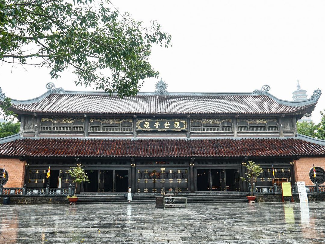 2D1N Tour | Relaxation in Ninh Binh - Visit Hoa Lu/Bai Dinh - Trang An - Mua Cave - Tam Coc | Ninh Binh