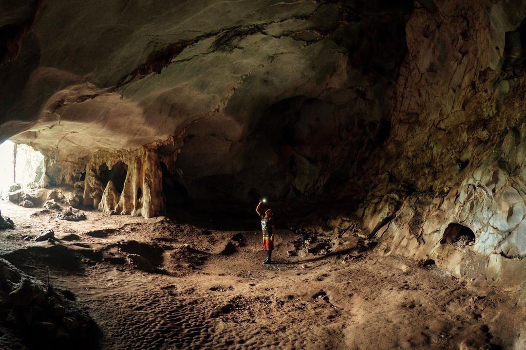 2D1N Tour | Explore Cuc Phuong National Park and Visit Hoa Lu/Bai Dinh - Trang An - Mua Cave | Stay at Bungalow | Ninh Binh