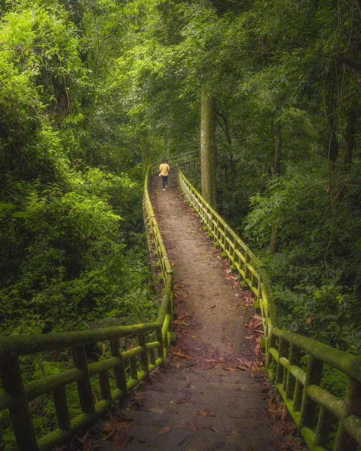 2D1N Tour | Explore Cuc Phuong National Park and Visit Hoa Lu/Bai Dinh - Trang An - Mua Cave | Stay at Bungalow | Ninh Binh