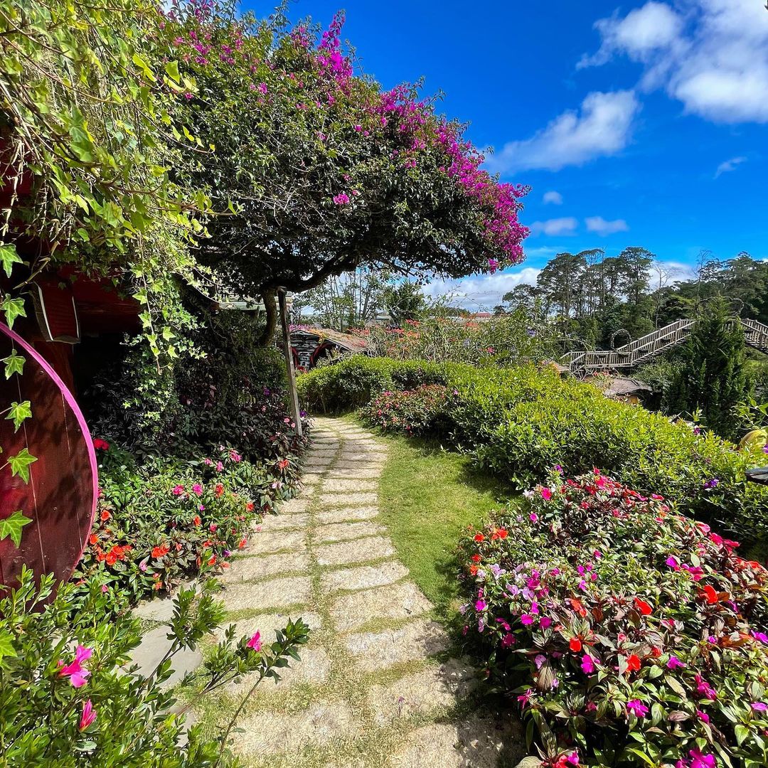 Fairytale Land And Vinh Tien Wine Cellar Admission Ticket | Dalat