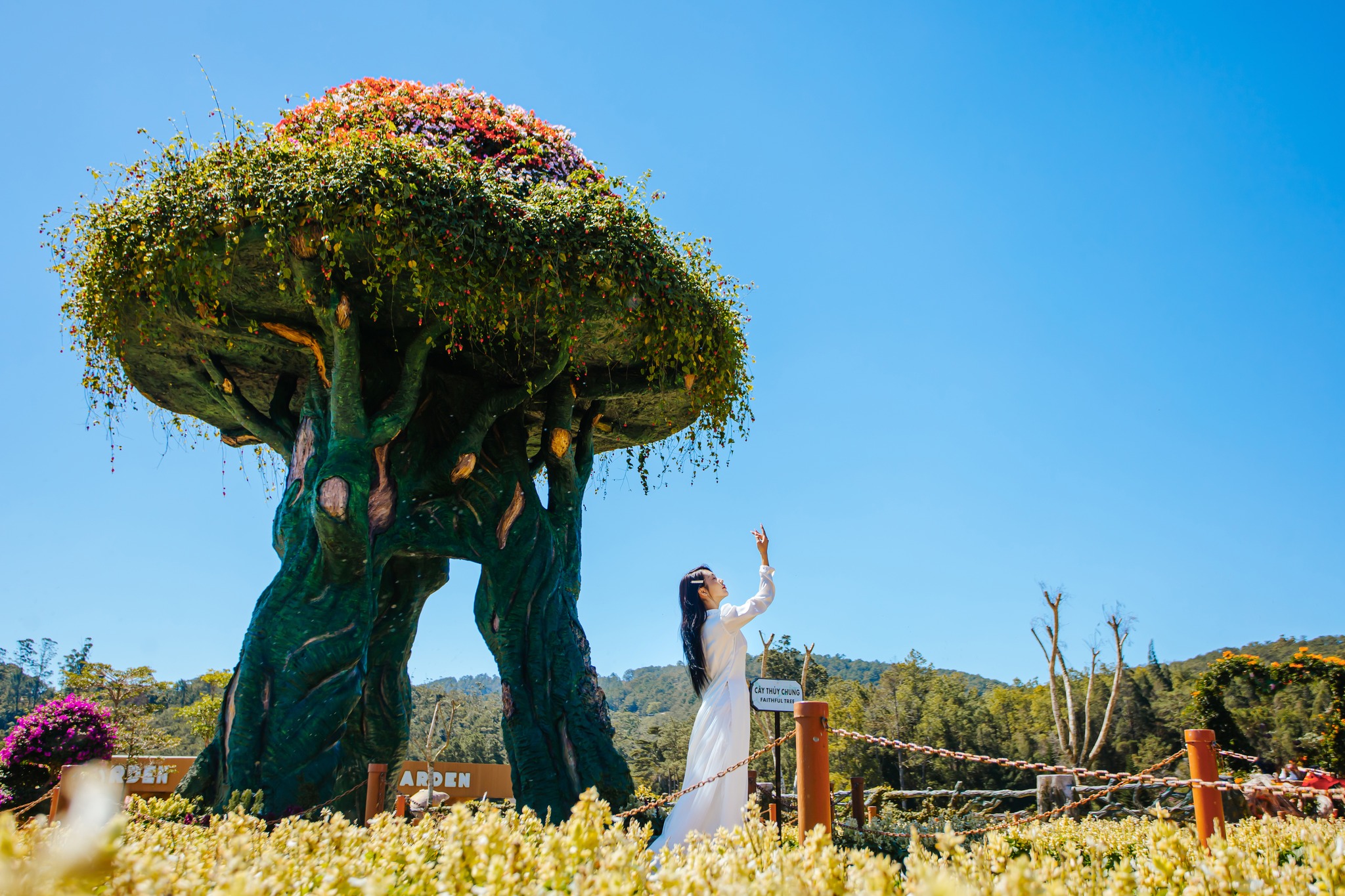 Admission Ticket to Fresh Garden | Da Lat