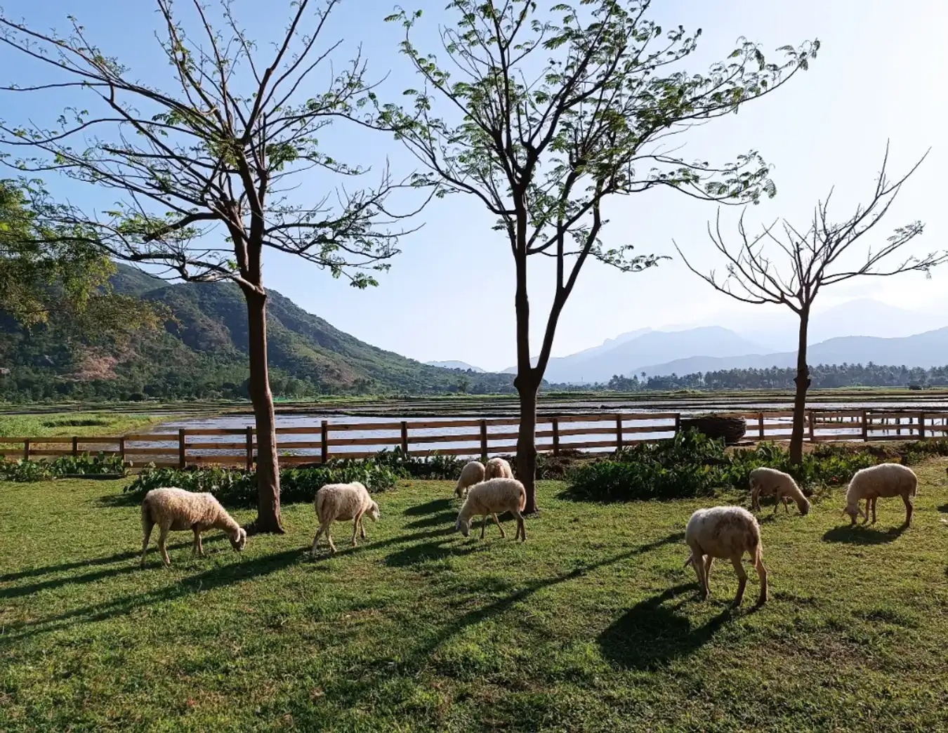 Day Tour | Explore Ninh Thuan with Customizable Itinerary | Departs from Nha Trang