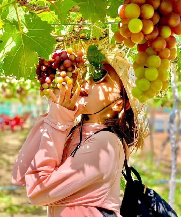 Day Tour | Explore Ninh Thuan with Customizable Itinerary | Departs from Nha Trang