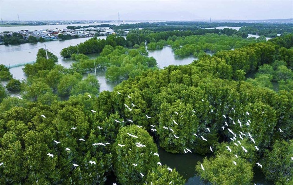 Day Tour | Experience the "Green Space" of Binh Dinh Province | Quy Nhơn