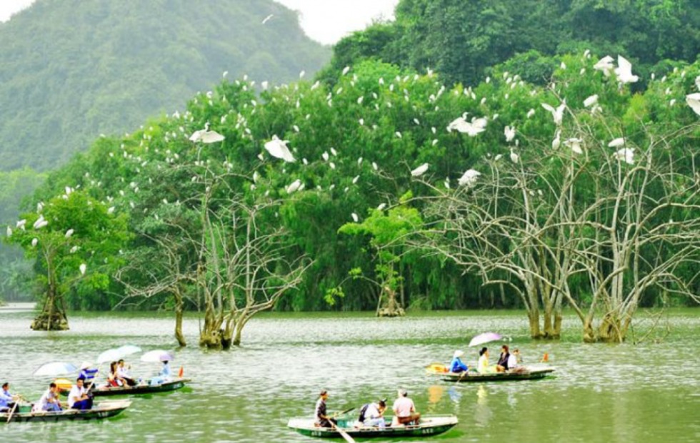 Day Tour | Experience the "Green Space" of Binh Dinh Province | Quy Nhơn