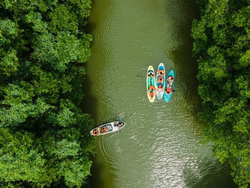 Day Tour | Experience the "Green Space" of Binh Dinh Province | Quy Nhơn
