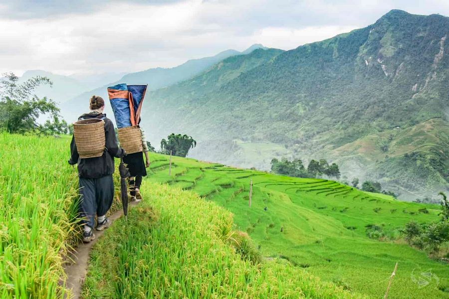 3D2N Tour I Discover Sapa, the "Land of Mist"