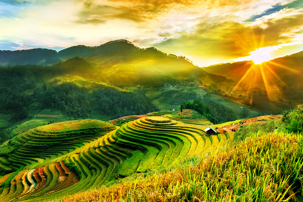 3D2N Tour I Discover Sapa, the "Land of Mist"