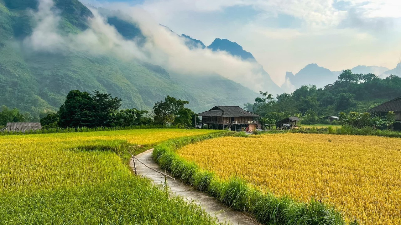 4D3N Tour | Explore Ha Giang by Motorbike Departure from Hanoi | Ha Giang