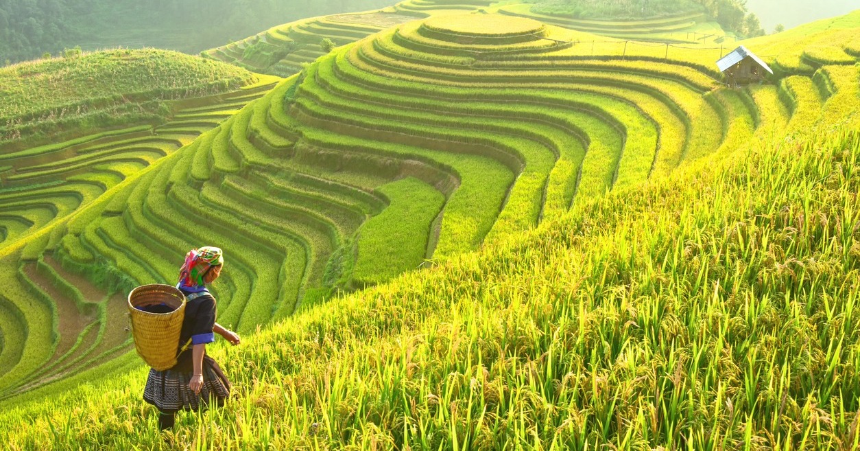 2D1N Tour | Sapa Sightseeing and Village Trekking Tour departs from Hanoi by D-Car | Sapa