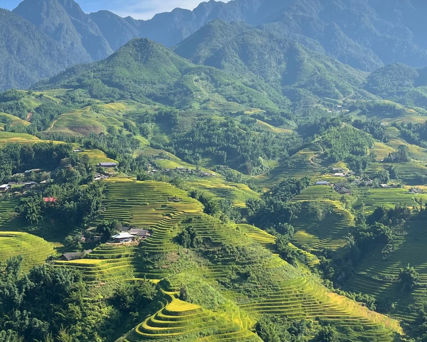 2D1N Tour | Sapa Sightseeing and Village Trekking Tour departs from Hanoi by D-Car | Sapa