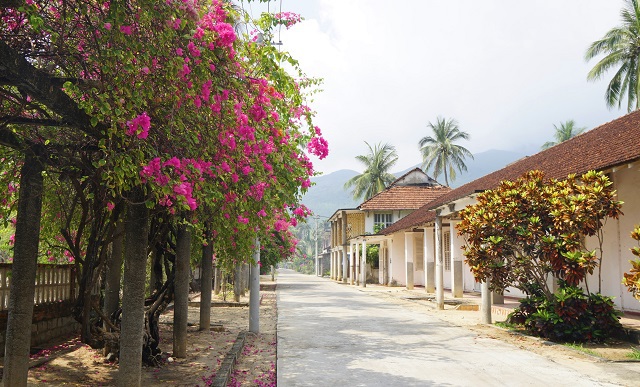 Day Tour | Explore the Coastal City of Quy Nhon | Quy Nhon