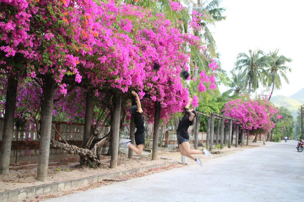 Day Tour | Explore the Coastal City of Quy Nhon | Quy Nhon