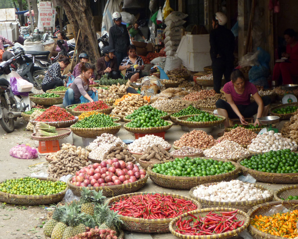 Day Tour | Experience Cooking Class in Hanoi | Vietnam