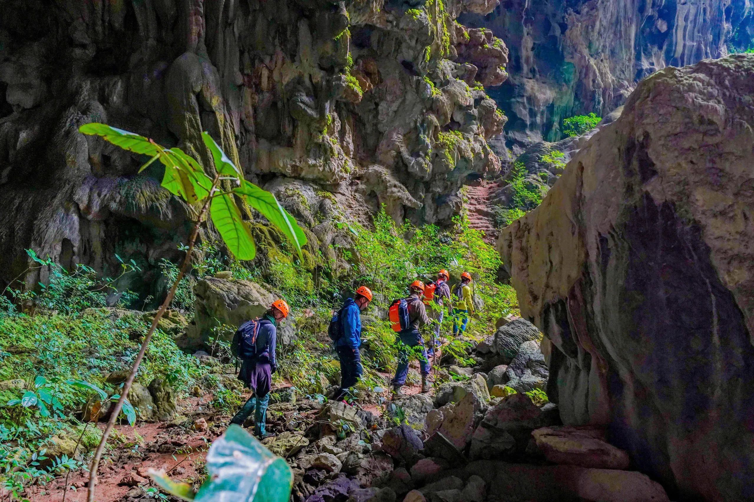 Tour 2N1Đ I Trải nghiệm khám phá Hang Pygm tại rừng nguyên sinh Phong Nha - Kẻ Bàng I Quảng Bình