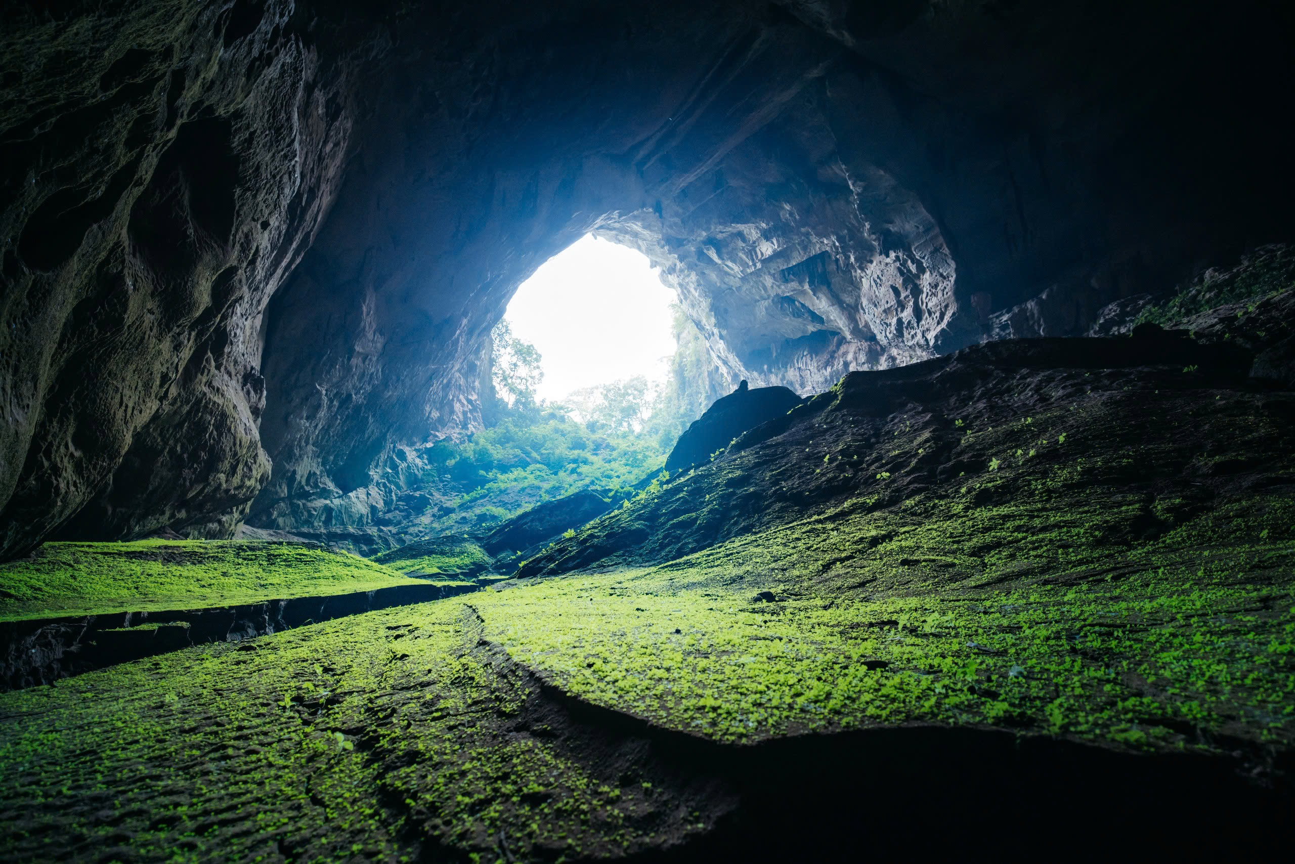 2D1N Tour | Explore the Pygmy Cave in Phong Nha - Ke Bang's Primeval Forest | Quang Binh