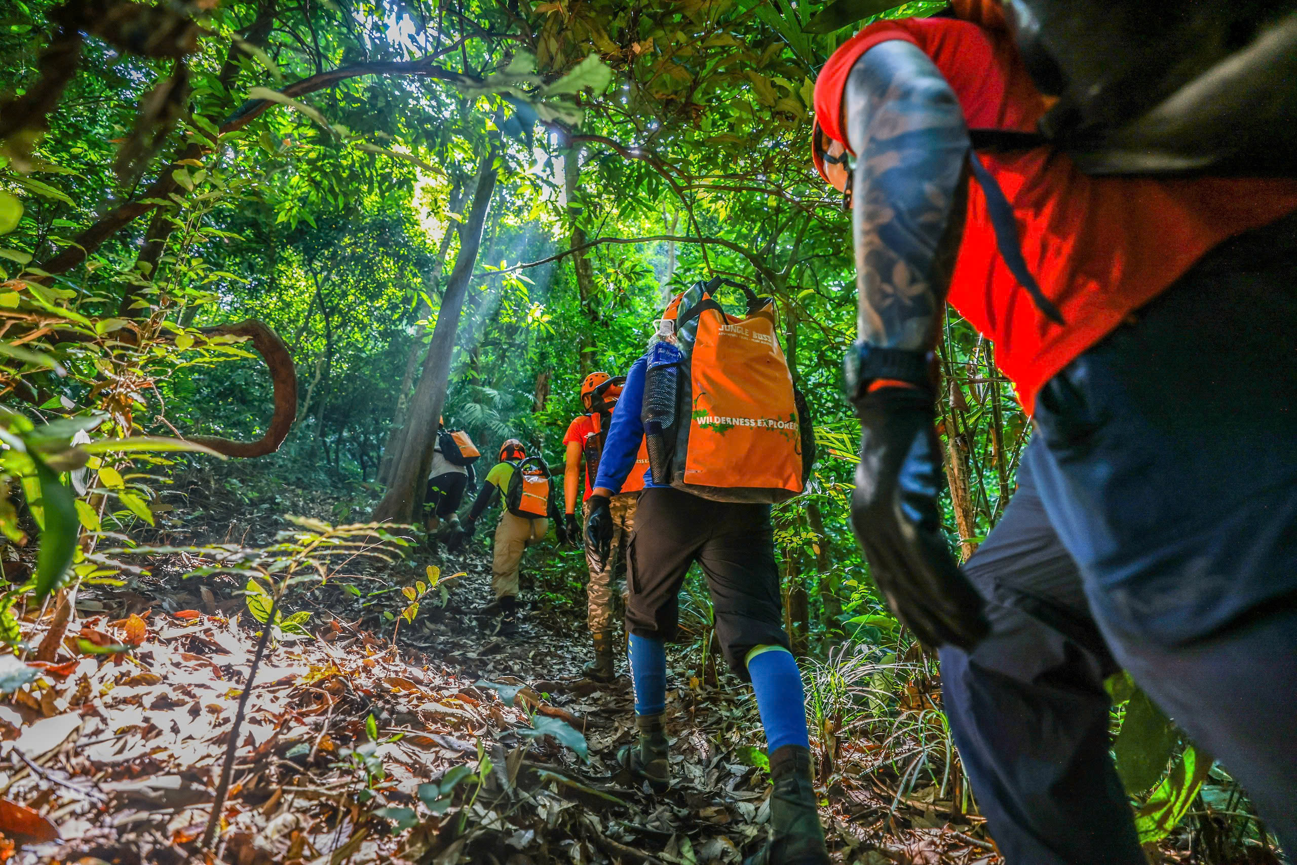 2D1N Tour | Explore the Pygmy Cave in Phong Nha - Ke Bang's Primeval Forest | Quang Binh