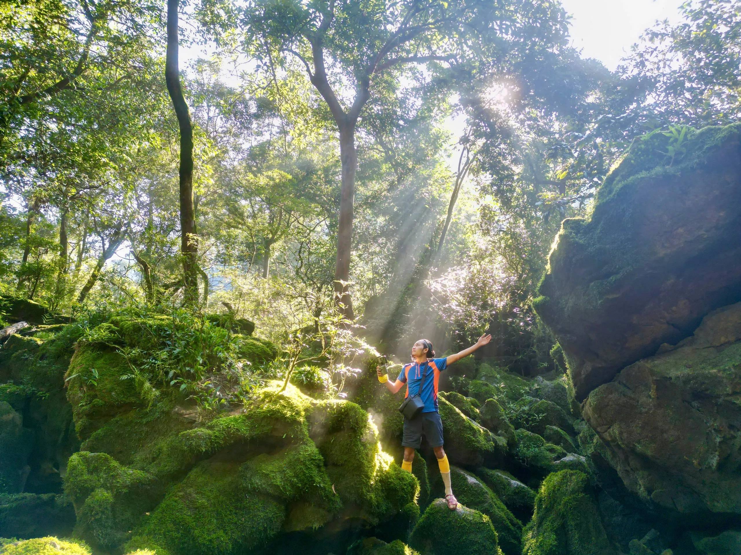 Tour 3N2Đ I Khám phá hệ thống Hang Hổ tại rừng nguyên sinh Phong Nha - Kẻ Bàng I Quảng Bình