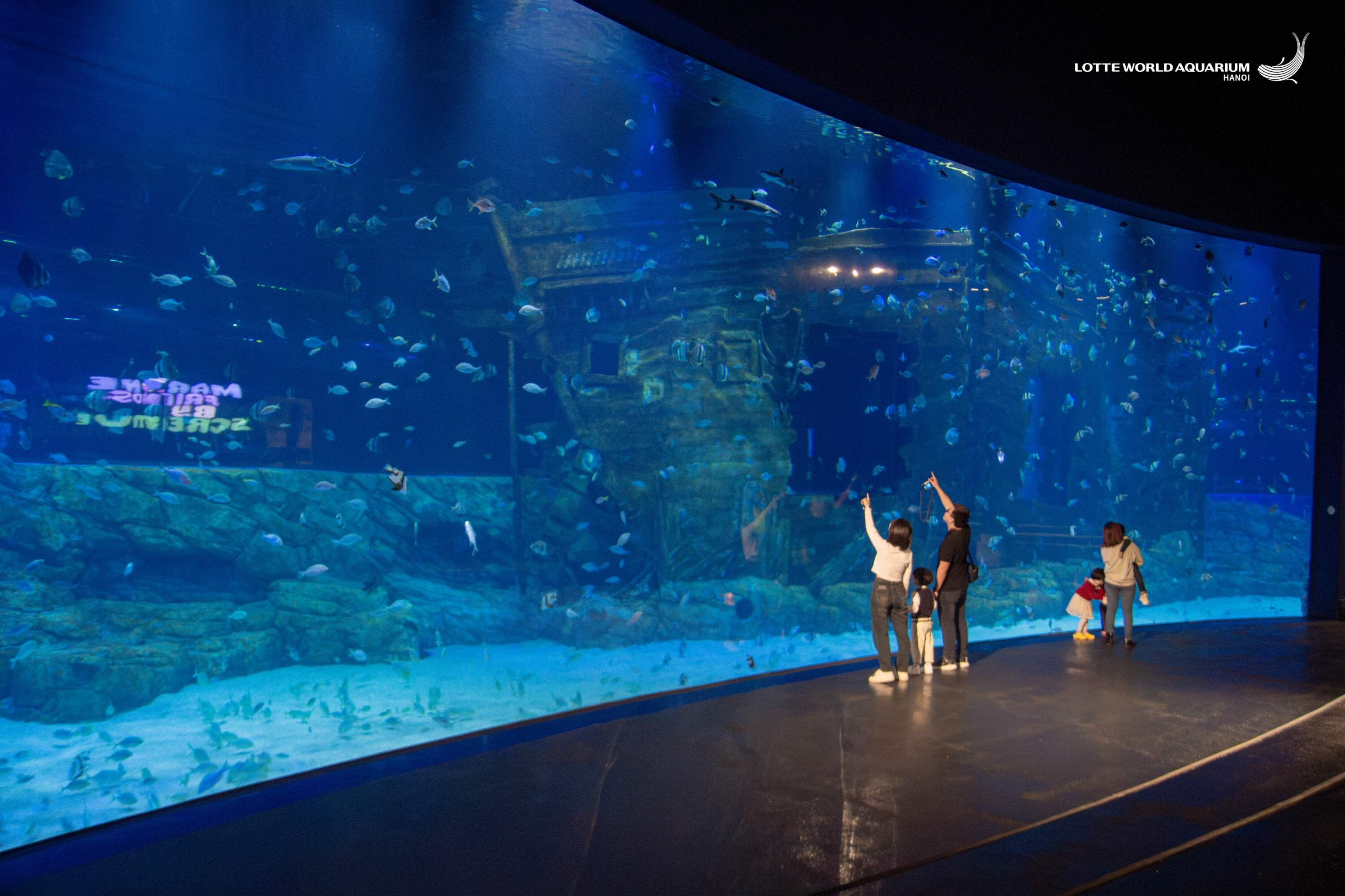 Lotte World Aquarium Ticket I West Lake | Hanoi