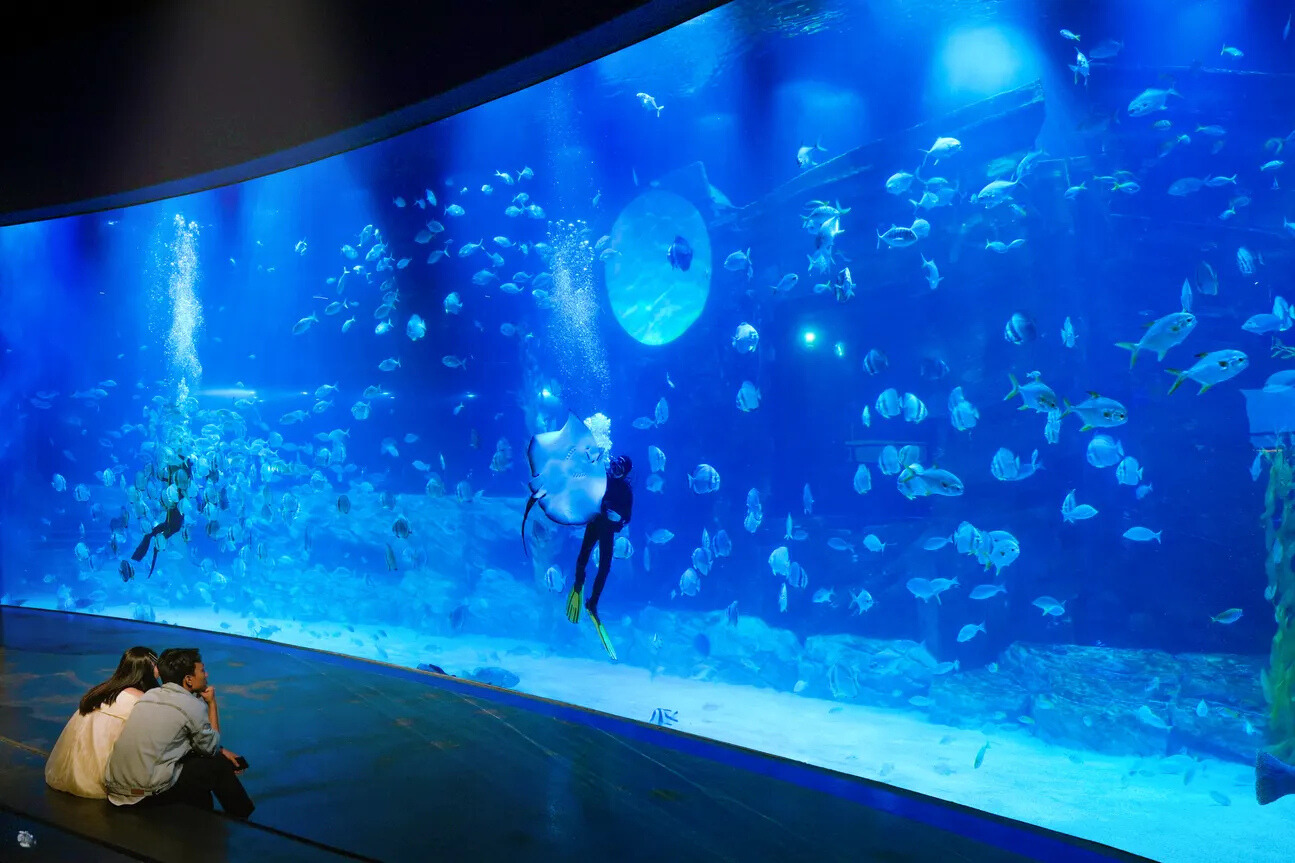 Lotte World Aquarium Ticket I West Lake | Hanoi