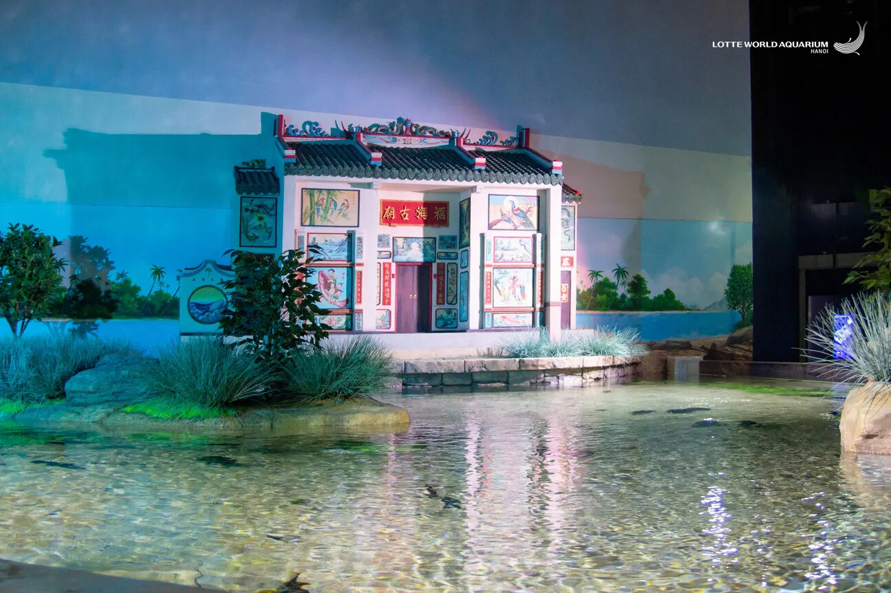 Lotte World Aquarium Ticket I West Lake | Hanoi