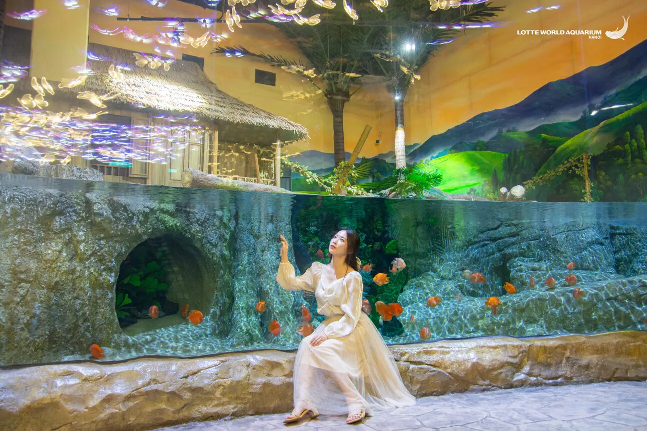 Lotte World Aquarium Ticket I West Lake | Hanoi