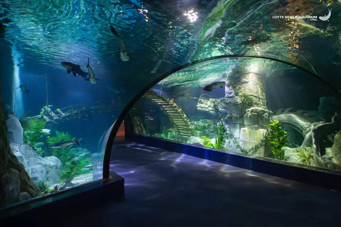 Lotte World Aquarium Ticket I West Lake | Hanoi