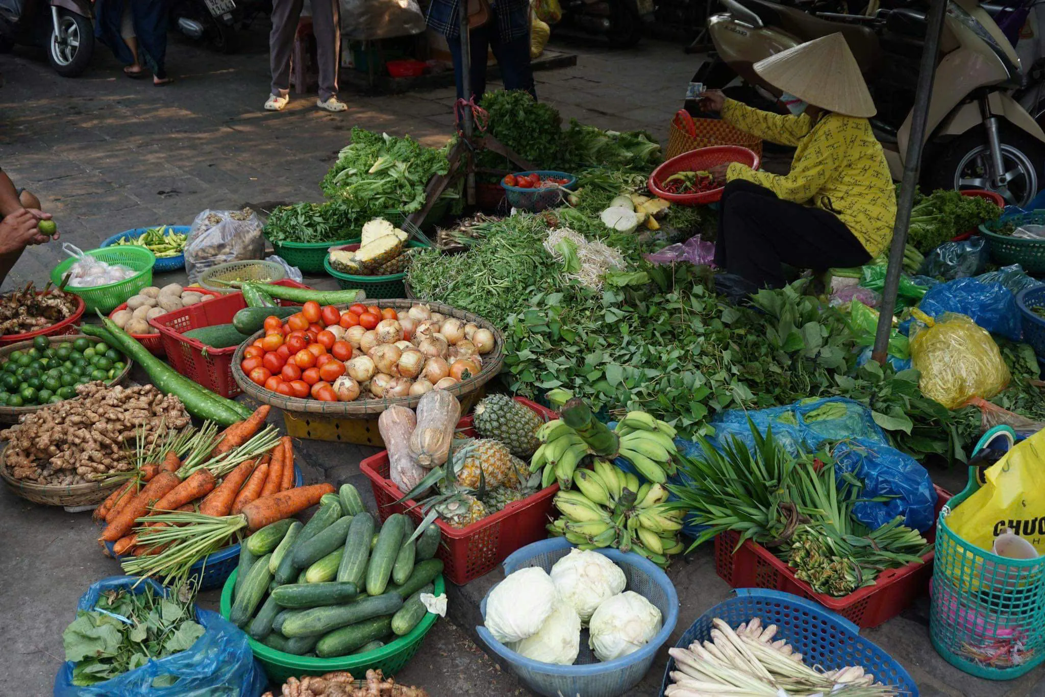 Day Tour | Half-Day Cooking Tour in Hoi An | Hoi An