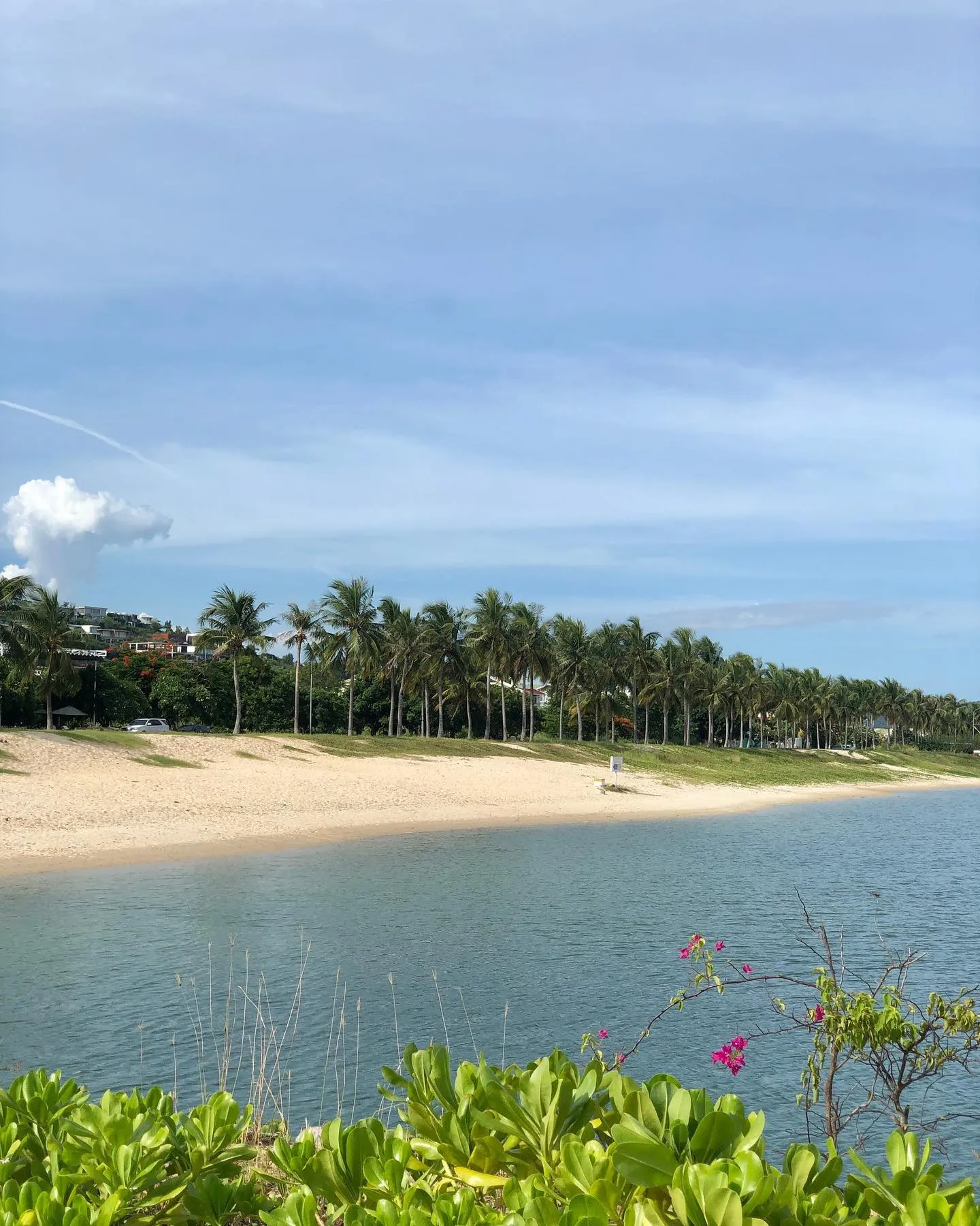 Day Tour I Private Tour Street Food Experience by Cyclo and Relax at Luxury Spa I Nha Trang