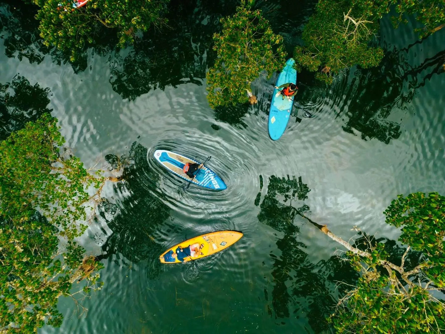 Tour trong ngày I Tour chèo SUP khám phá Hồ Tuyền Lầm I Đà Lạt