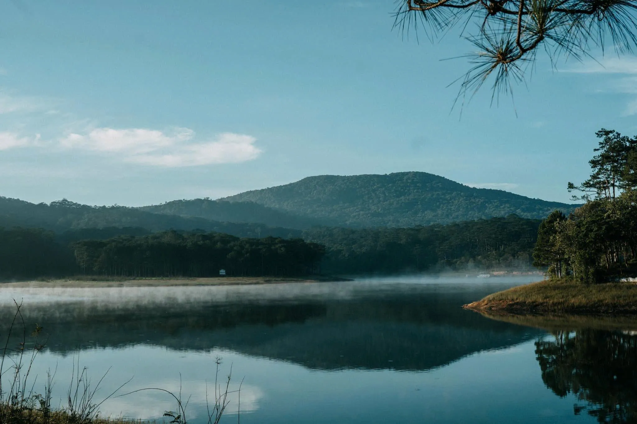 2D1N Tour | Camping Experience at Tuyen Lam Lake with BBQ Dinner | Da Lat