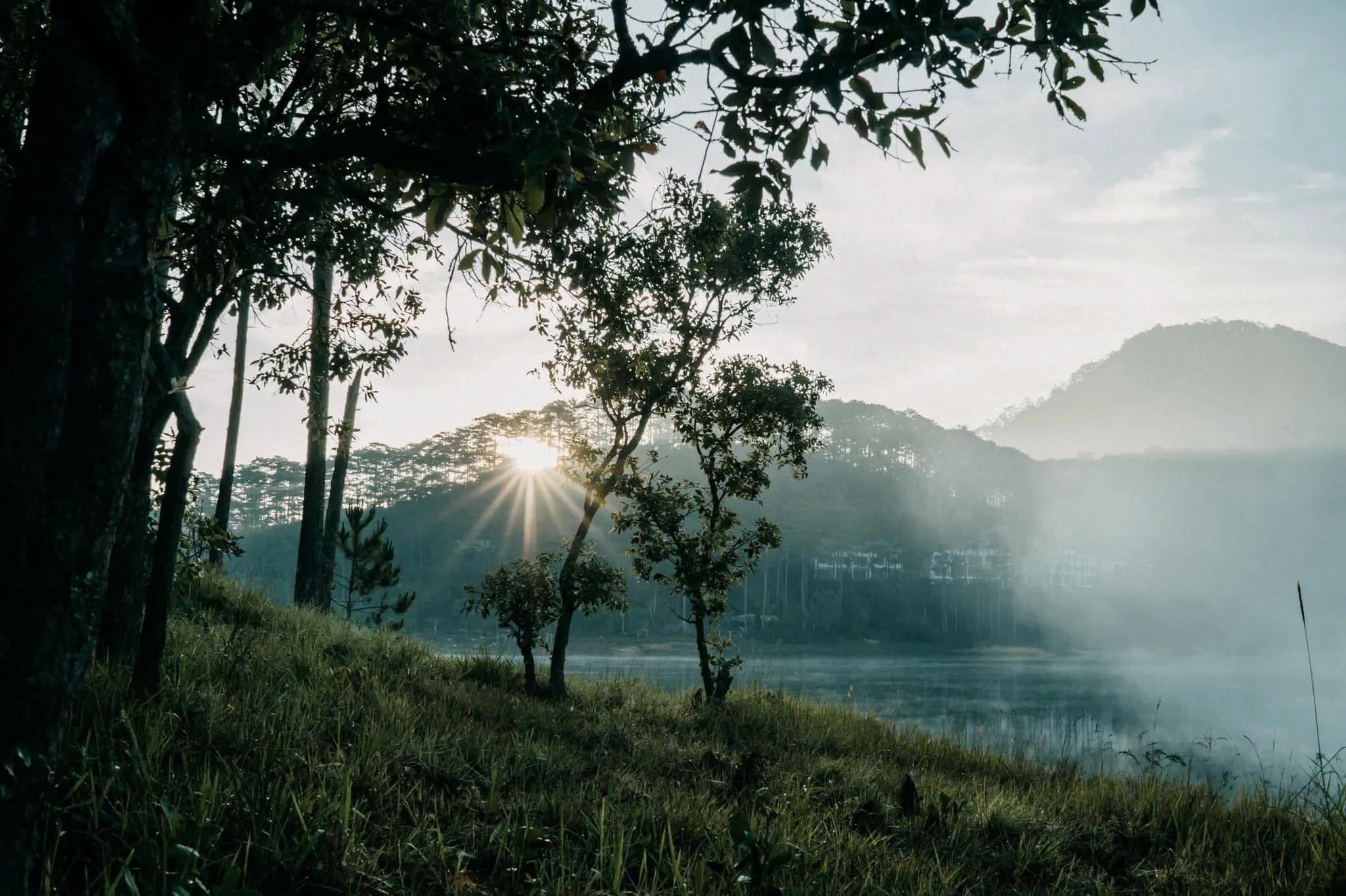 2D1N Tour | Camping Experience at Tuyen Lam Lake with BBQ Dinner | Da Lat