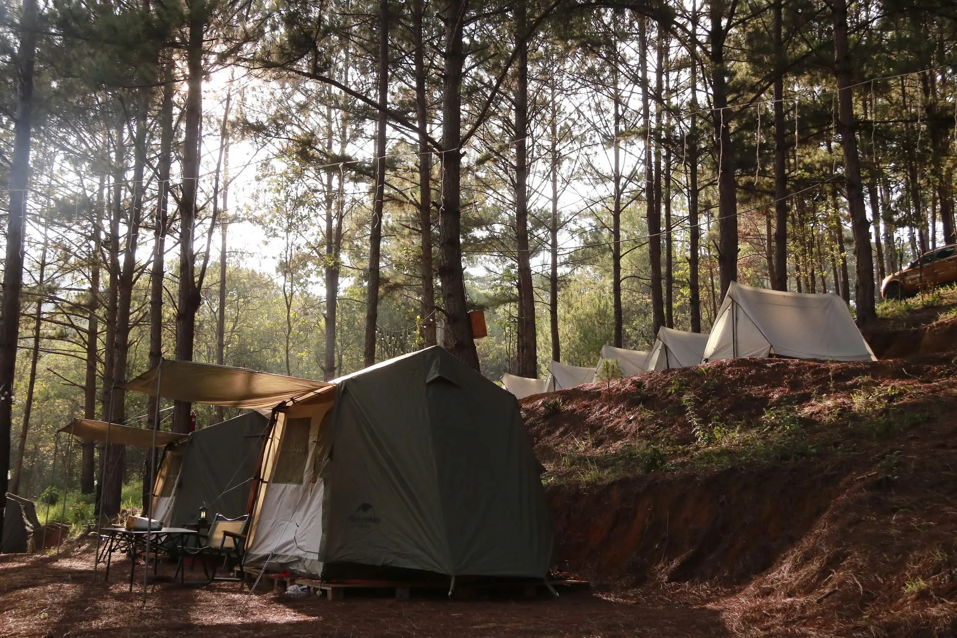 2D1N Tour | Camping Experience at Tuyen Lam Lake with BBQ Dinner | Da Lat