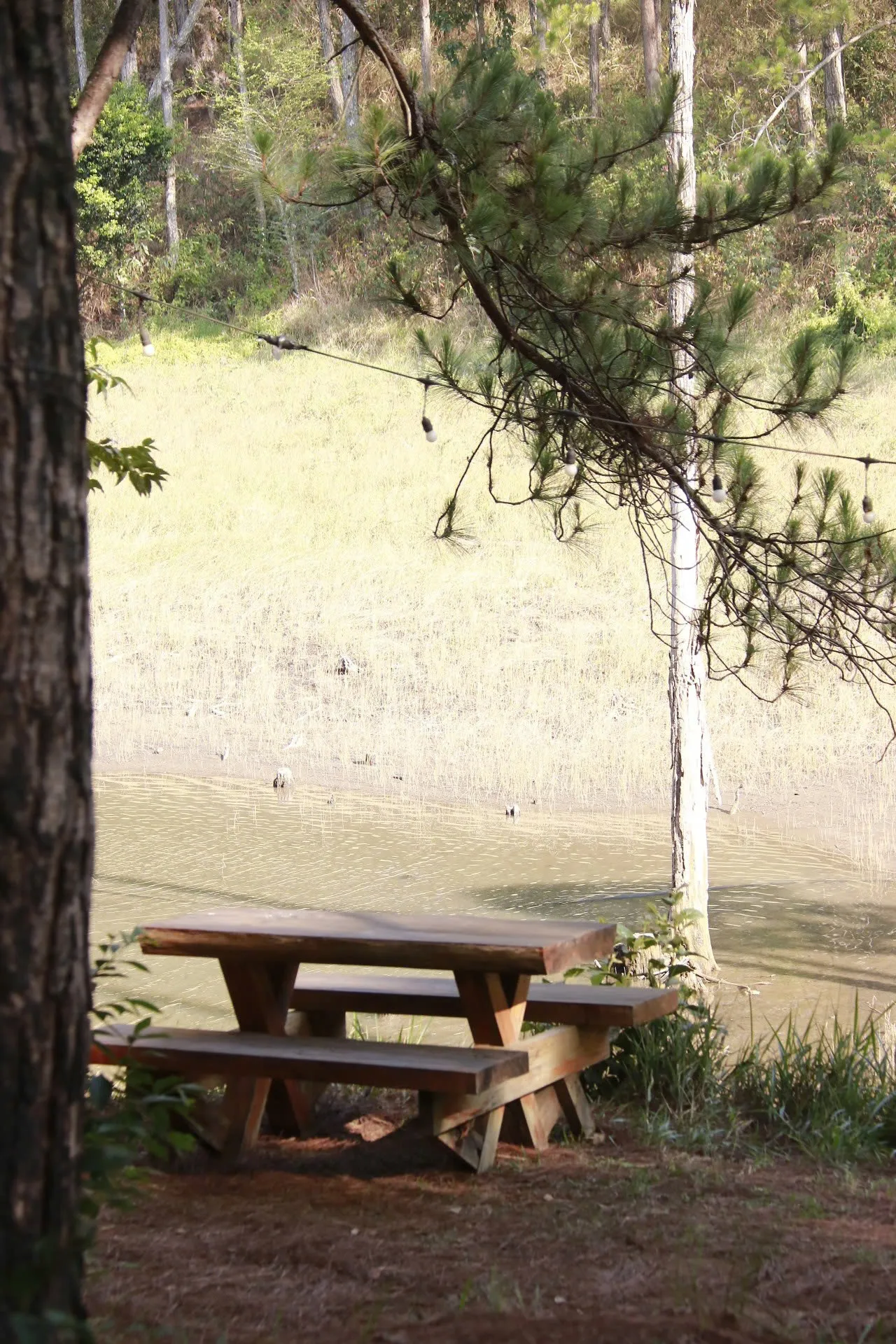 2D1N Tour | Camping Experience at Tuyen Lam Lake with BBQ Dinner | Da Lat