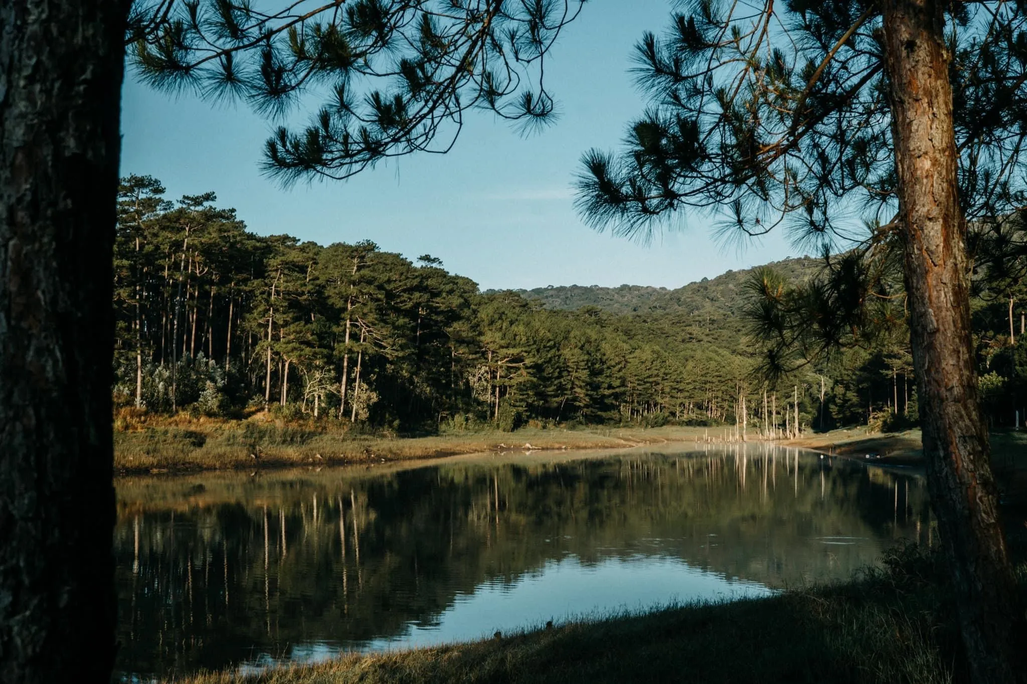 2D1N Tour | 2-Day, 1-Night Tour Experience with Mountain Climbing, SUP Paddling, Camping, and BBQ Meal | Da Lat