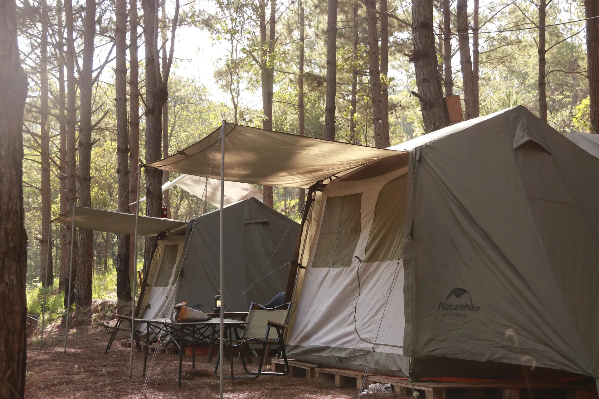 2D1N Tour | 2-Day, 1-Night Tour Experience with Mountain Climbing, SUP Paddling, Camping, and BBQ Meal | Da Lat