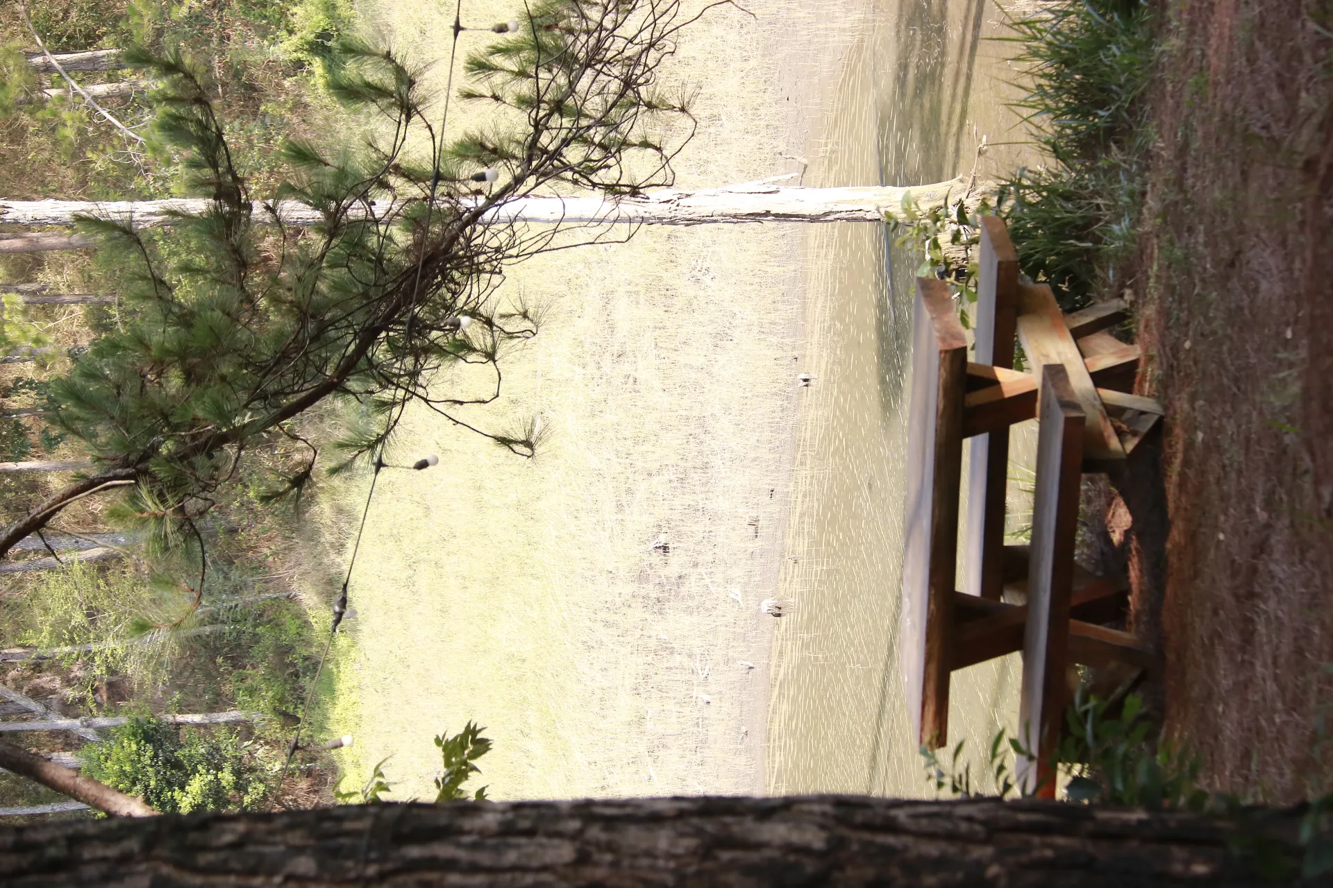 2D1N Tour | 2-Day, 1-Night Tour Experience with Mountain Climbing, SUP Paddling, Camping, and BBQ Meal | Da Lat