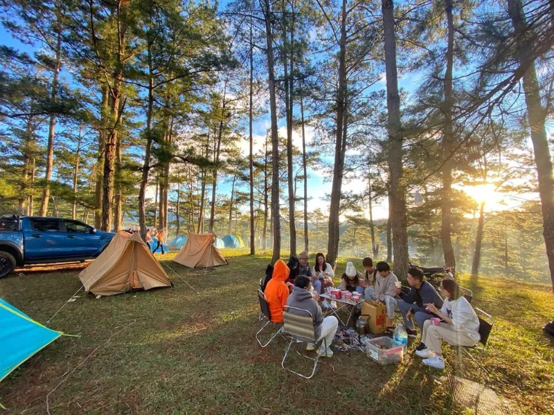 Tour 2N1Đ I Tour Cắm trại - Chèo SUP - Ngắm bình minh trên Hồ Tuyền Lâm I Đà Lạt